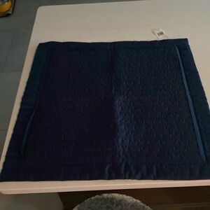 Ralph Lauren 24”x24” Euro Sham